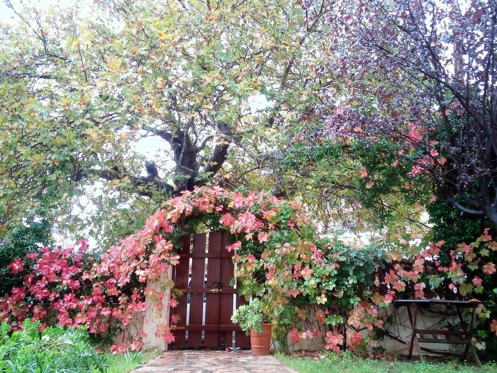 Villa The Platanus Tree Kato Vasiliki ภายนอก รูปภาพ