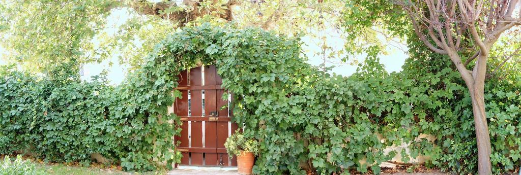 Villa The Platanus Tree Kato Vasiliki ภายนอก รูปภาพ