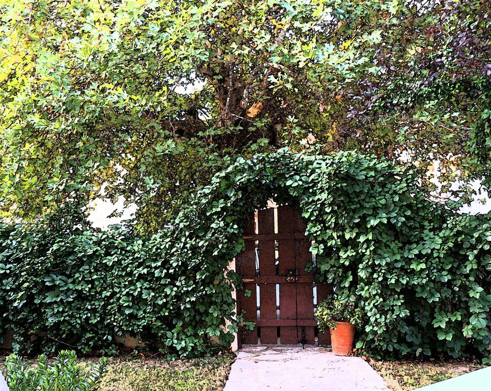 Villa The Platanus Tree Kato Vasiliki ภายนอก รูปภาพ