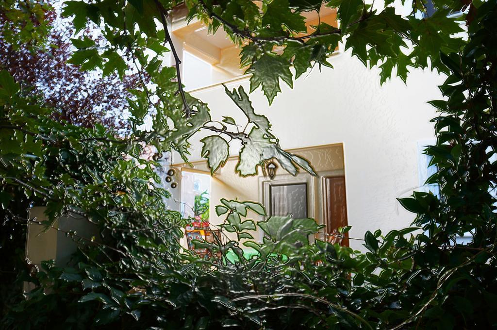 Villa The Platanus Tree Kato Vasiliki ภายนอก รูปภาพ