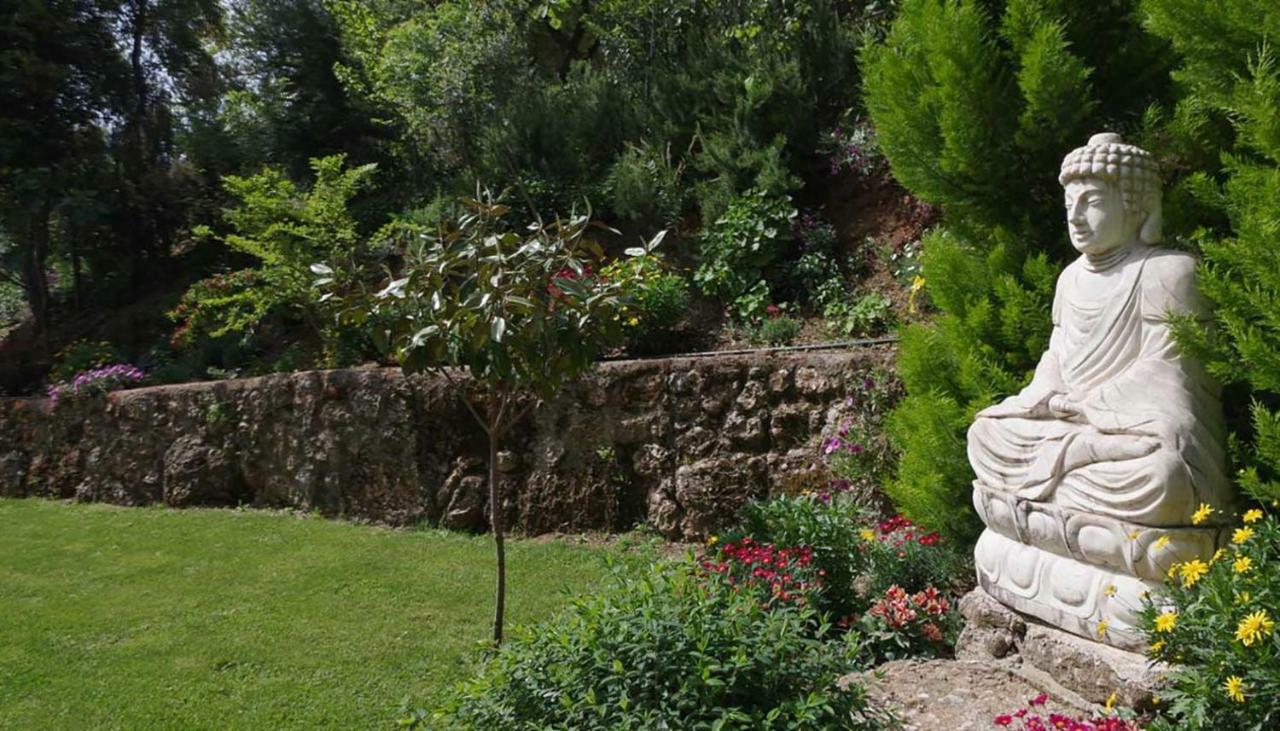 Villa The Platanus Tree Kato Vasiliki ภายนอก รูปภาพ